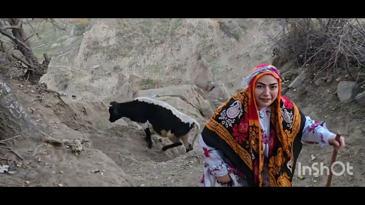 200 Animals, 0 Traffic! Cows, Goats & Donkeys Climb Mountains Like Pros – Part 2**🐮🐃🐂🐄🫏