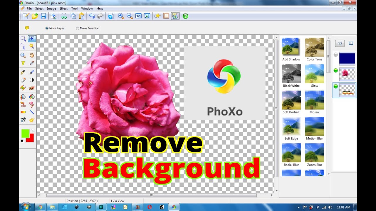 How to Remove Photo Background Using PhoXo