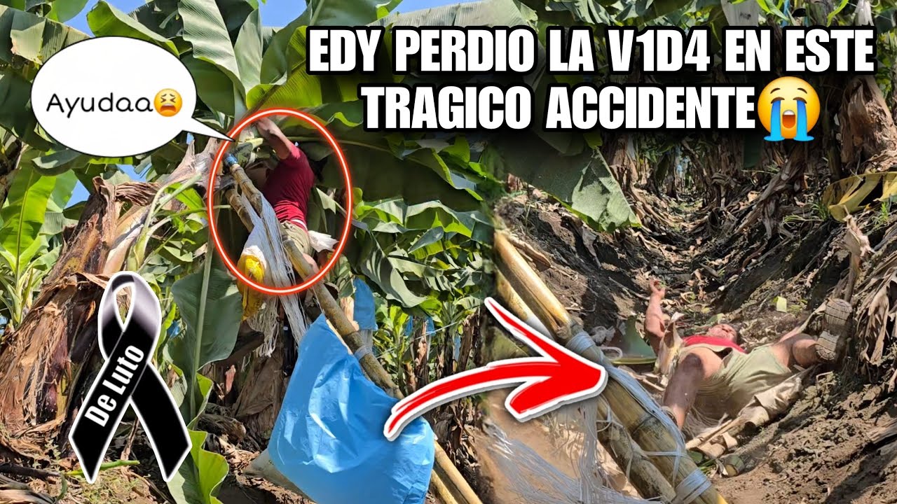 Santo Dios EDY Se Llevo Este Gran Accidente😰El Callo Mu3rt0 Al Suelo😭El TIO Empezo a Llorar Al verlo