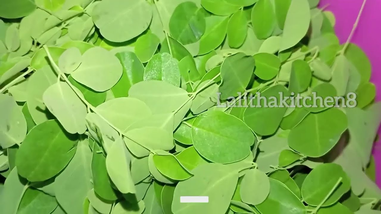 మునగాకు పెసరపప్పు ఫ్రై మోకాళ్ల నొప్పులకు మంచిది || Mungaku pesarapappu fry ||ఆరోగ్యానికి ఎంతో మంచిది