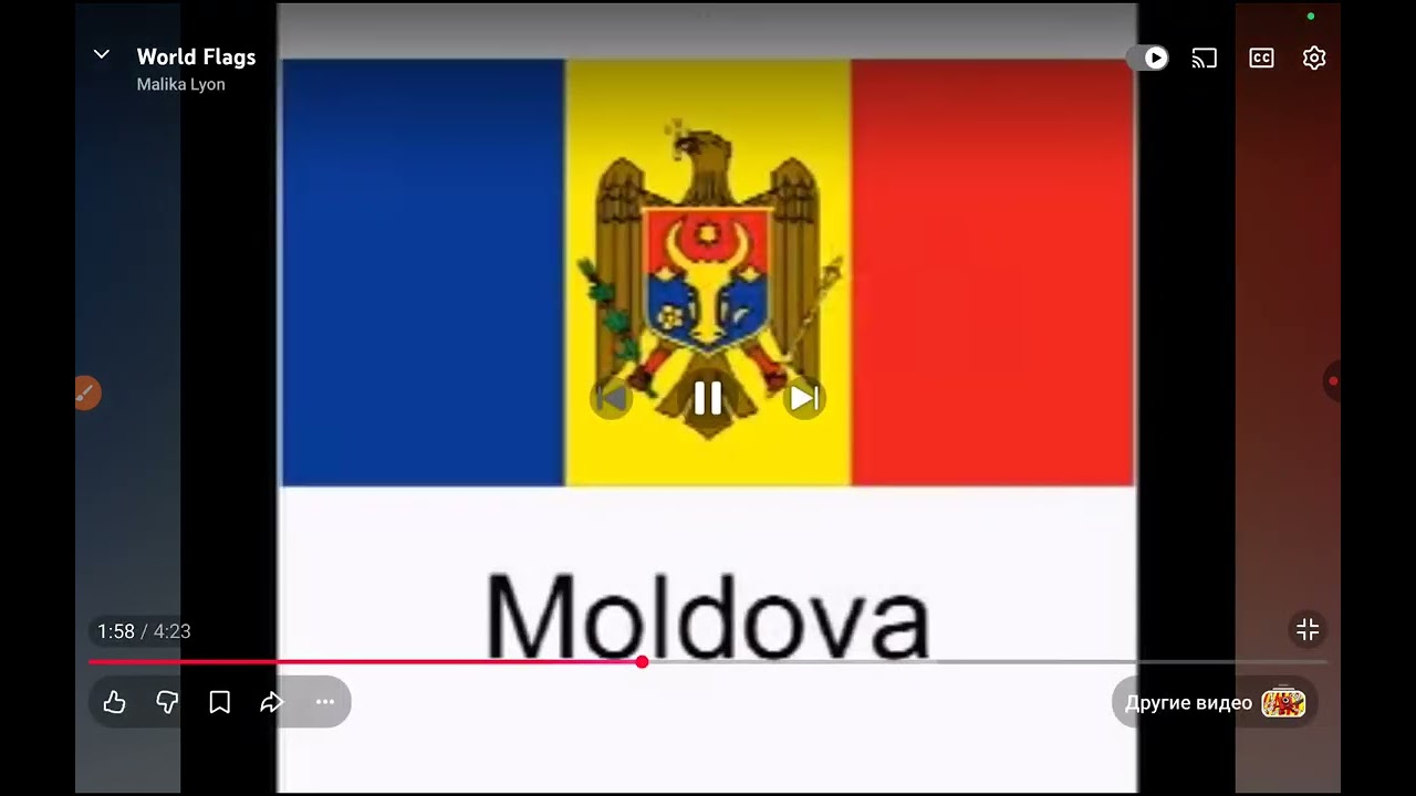 Correcting World Flags