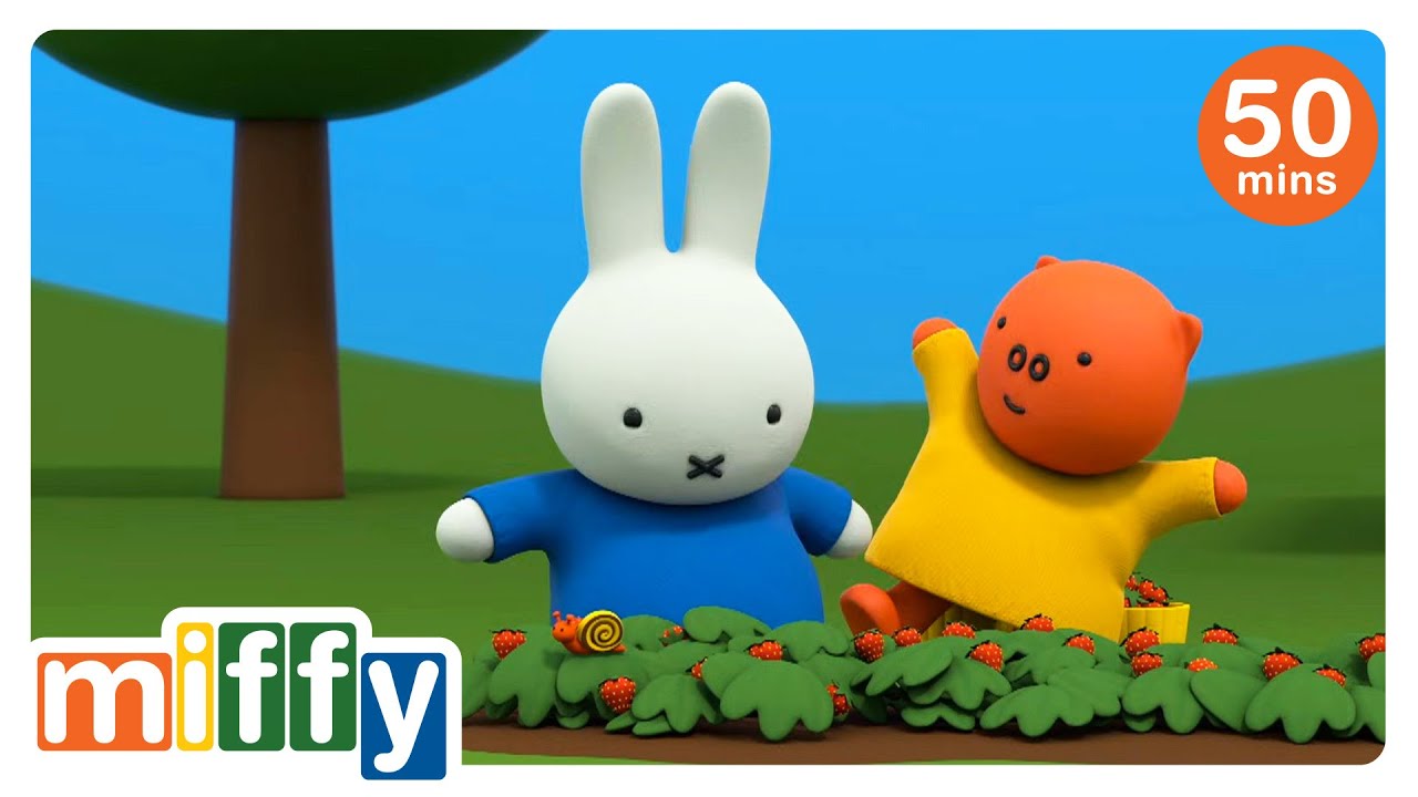 There is something in the strawberry patch! | Miffy | Cartoons for kids