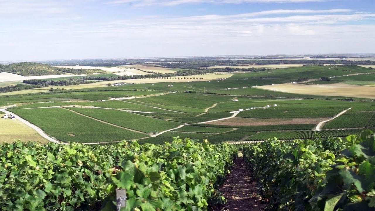Guided tour of Moët & Chandon House and Reims Champagne Region, France