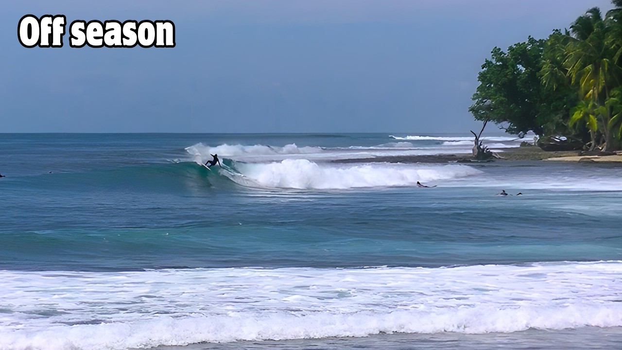 This Is an Average Day in the Mentawai