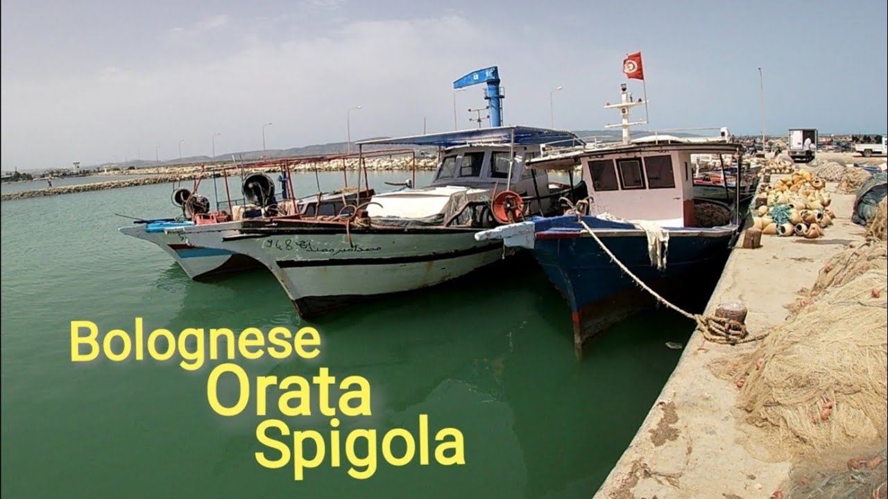 Pêche @ Bolognese au port de Kalaat Andalos 🔥