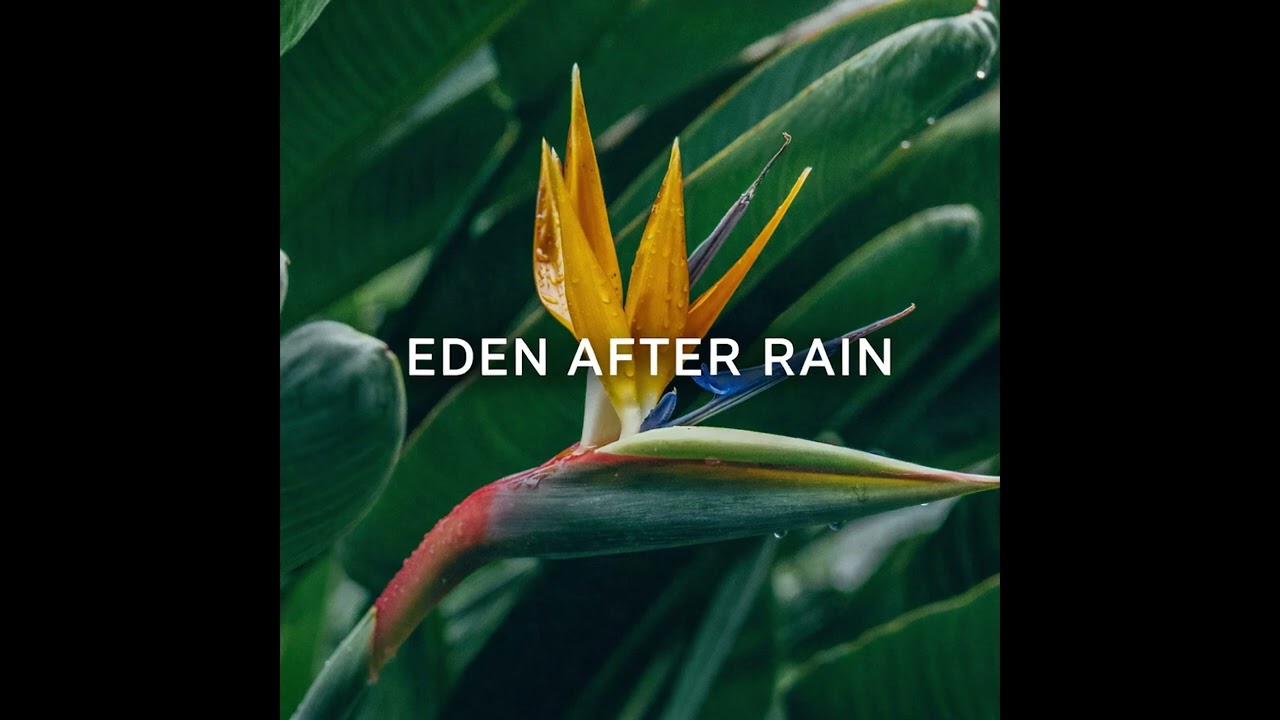 Eden After Rain – Soulful Sample Type Beat | 95 BPM B Minor