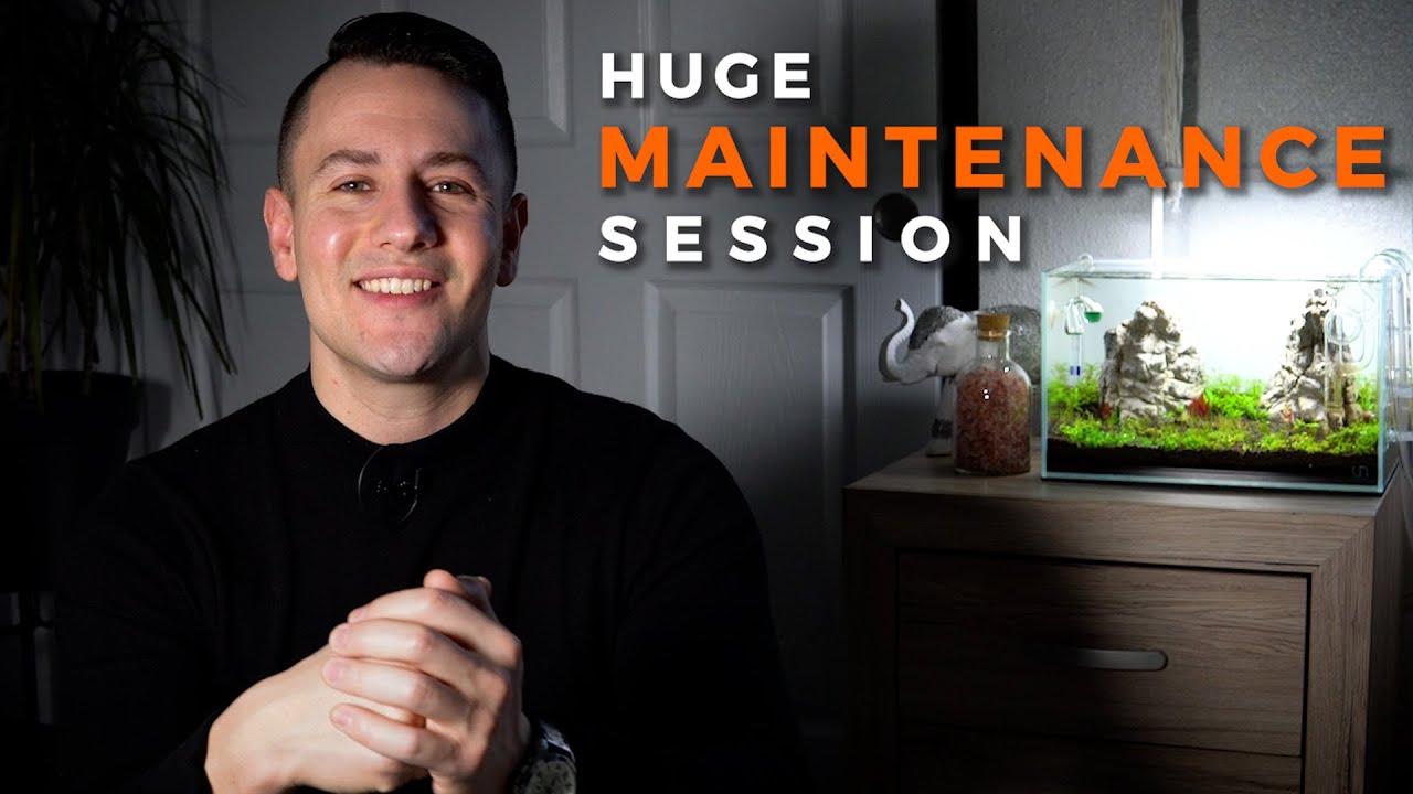How to Deal with Plant Melt | Huge Maintenance Session on a UNS 5N