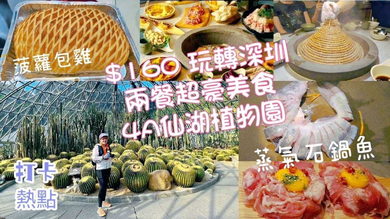 《深圳好去处 2023》仙湖植物園😲$160 玩轉深圳 | 一日遊 | ⭐️6星雲南🐟蒸氣石鍋魚| 創意美食🍍菠蘿包雞| 蓮塘口岸自駕遊| 🧧深圳旅遊小錦囊|👩‍❤️‍👨情侶拍拖👨‍👩‍👦‍👦合家歡