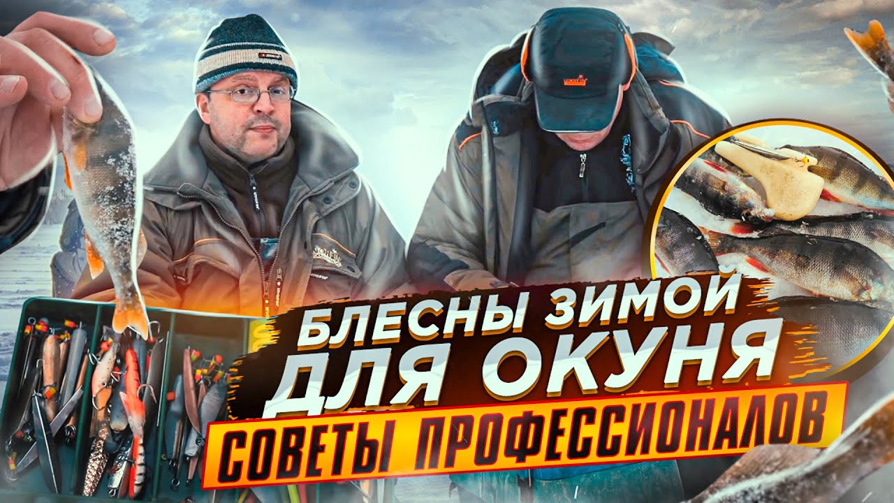Блесны зимой для окуня: тактика и техника ловли. Советы профессионалов