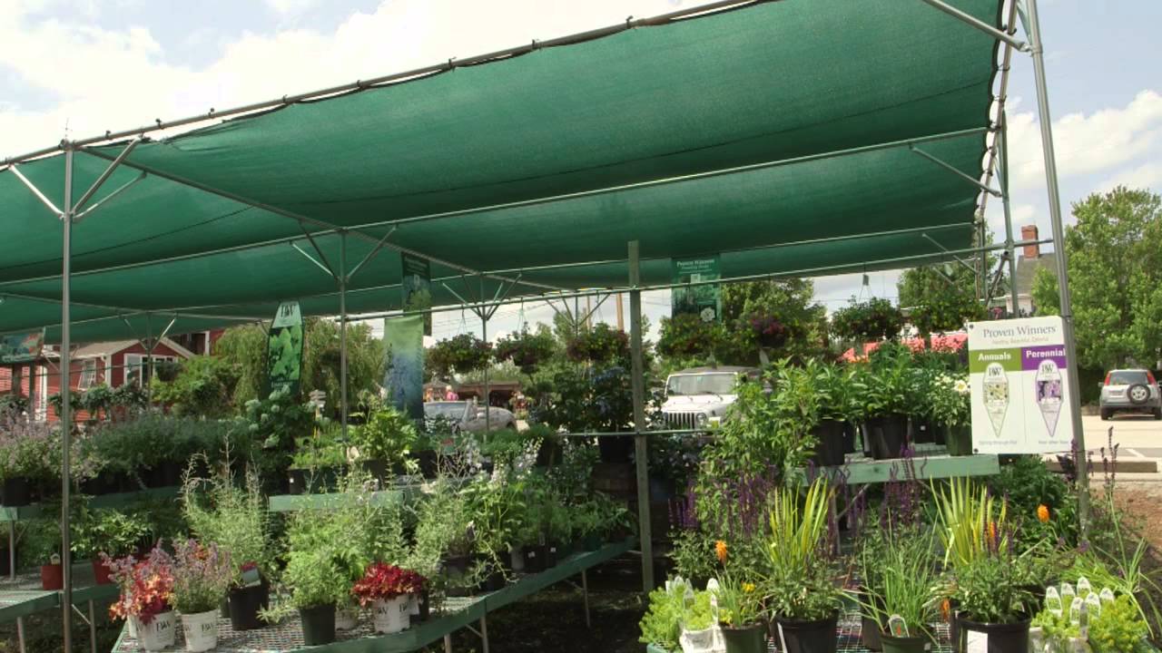 Shade Structures Part I: Why Shade Structures?