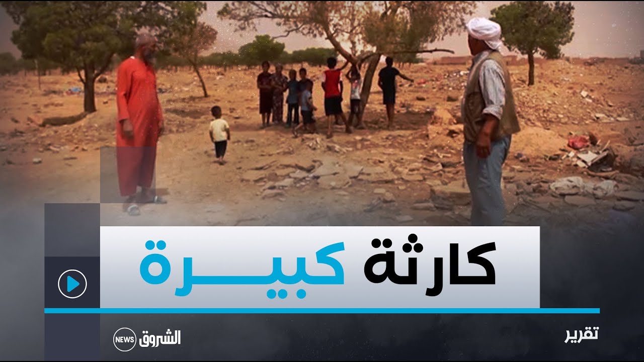 النعامة..غابات المشرية.. من متنفس للسكان إلى مكب للنفايات وتجمع الحشرات