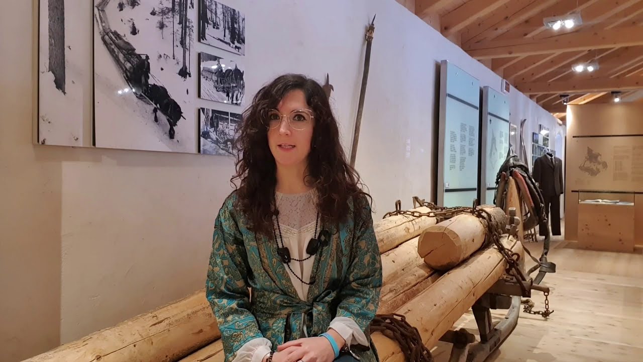 Visita guidata - Il bosco: abbattimento e trasporto del legname