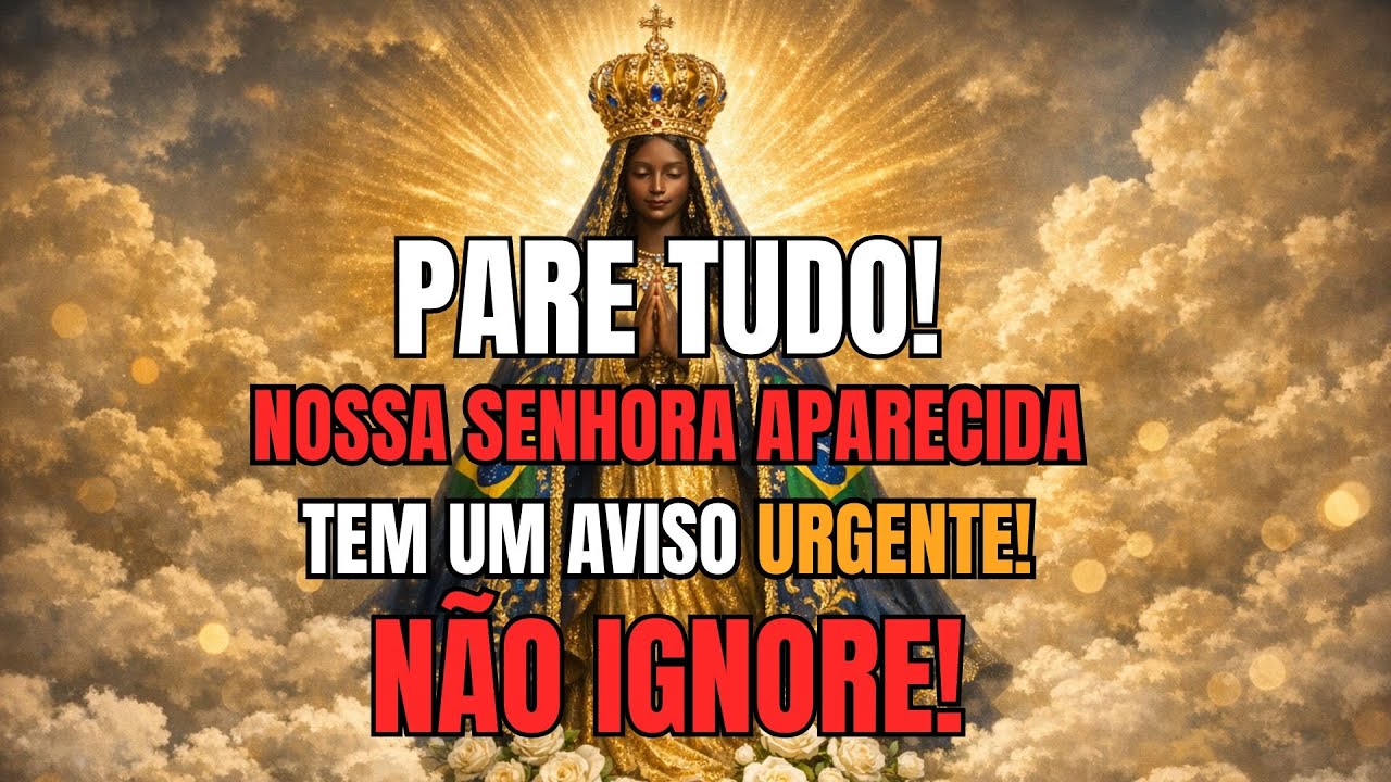 SENHORA APARECIDA DIZ: Meu filho, não se distraia. Permaneça nesta graça. NÃO IGNORE ESSA MENSAGEM!