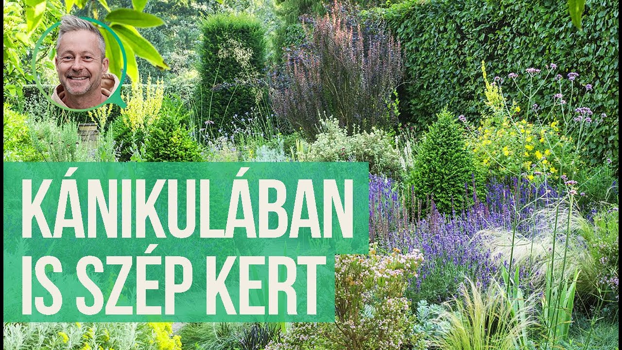 Sz&eacute;p kert k&aacute;nikul&aacute;ban is? | kert TV