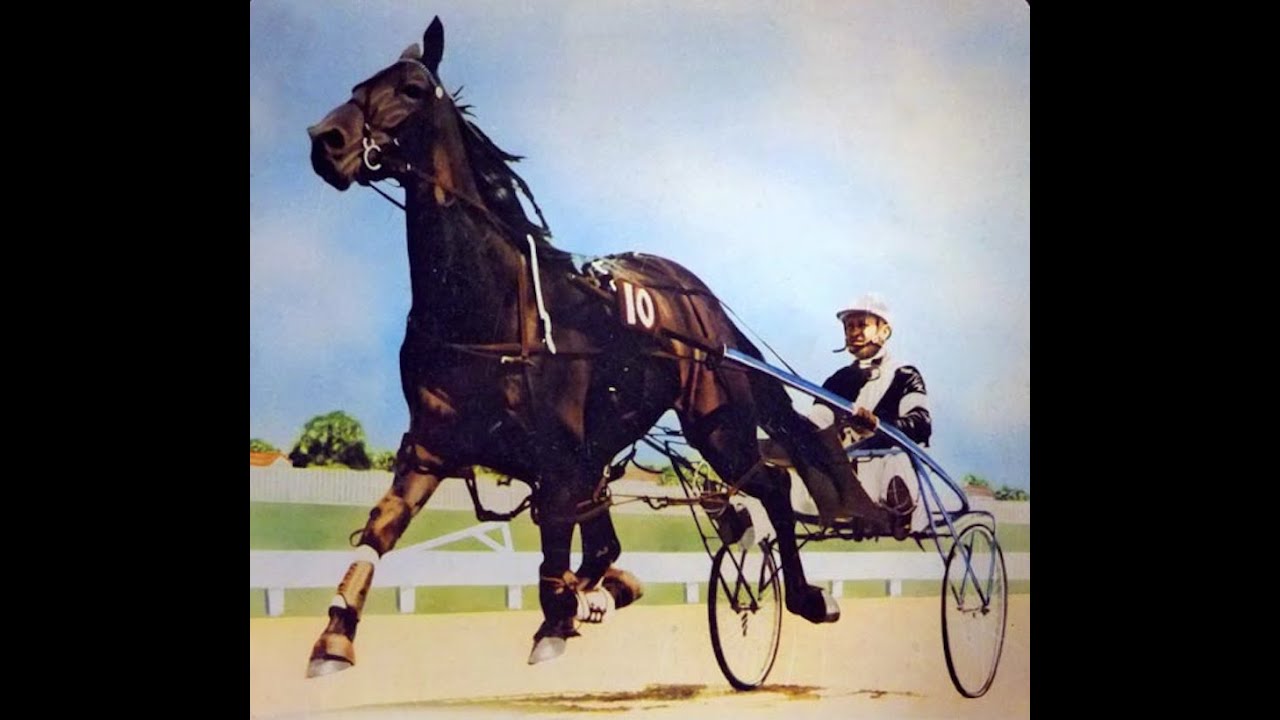 Harness Racing,Addington-1963 New Zealand Cup (Cardigan Bay-P.T.Wolfenden)