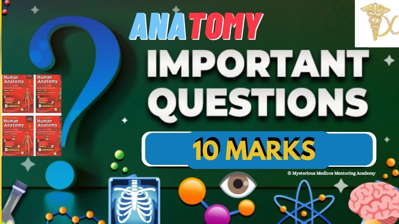 🤔 Anatomy 🩻 10 marks 📝 Impt Ques⁉️@mysteriousmedicosDC