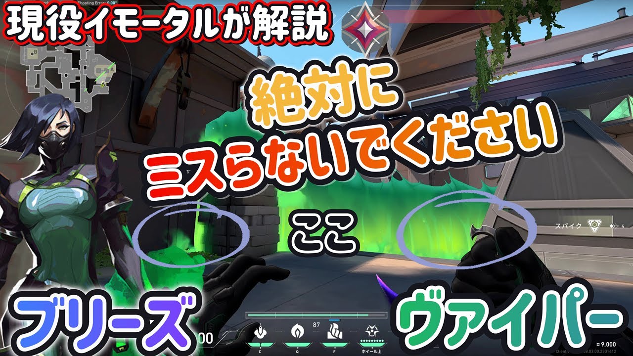 【初心者向け】ブリーズ、ヴァイパーの使い方を徹底解説/シンプルゆえに奥が深い、勝つための秘訣を紹介します！【VALORANT】