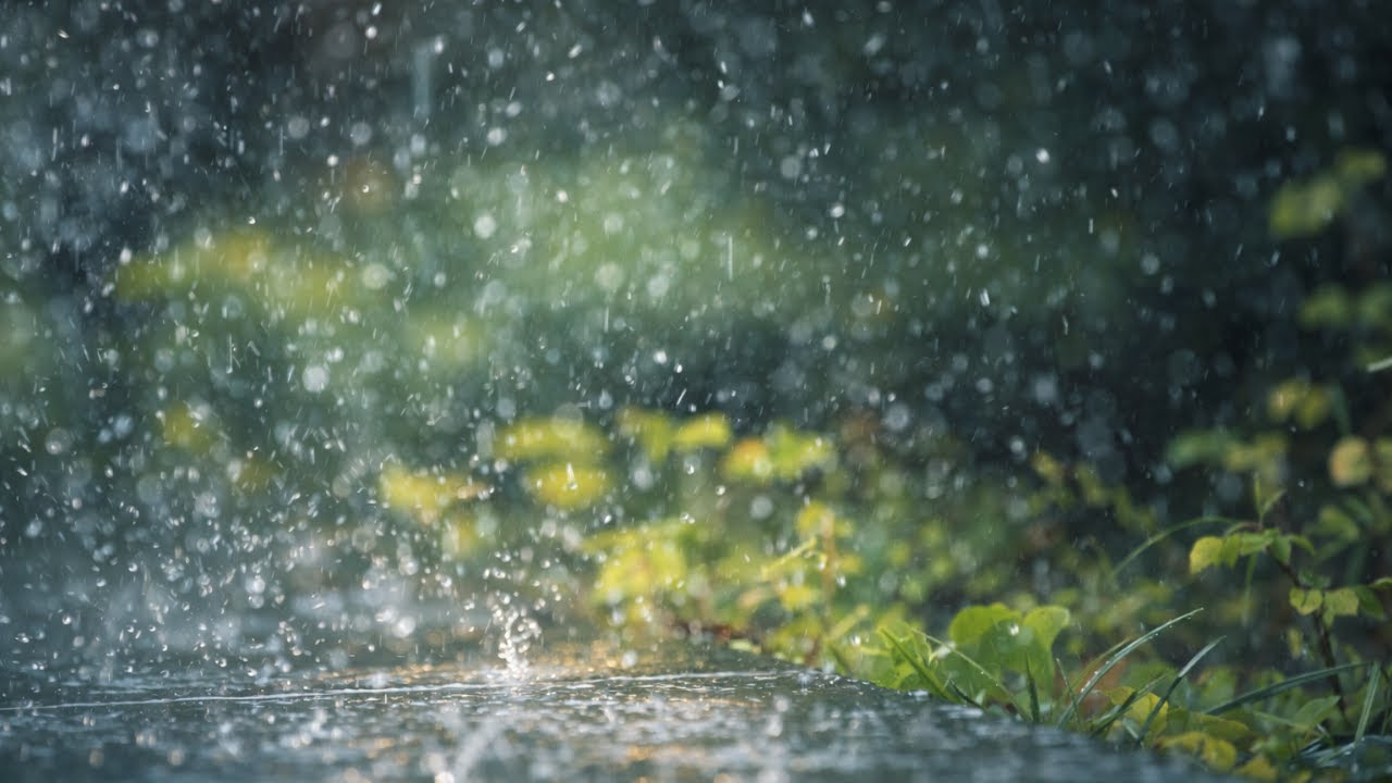 Pouring Rain: Heavy Rain Sounds for Sleeping, Relaxing, and Focusing | 10 Hours