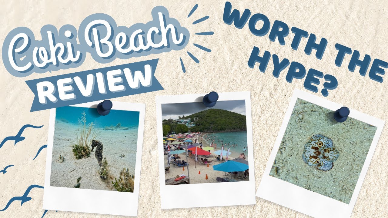 Coki Beach Review