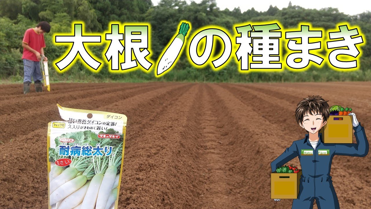 【大根の種まき】ハンドプランター(なかよしくん)が種まきにも使えて、万能すぎるww