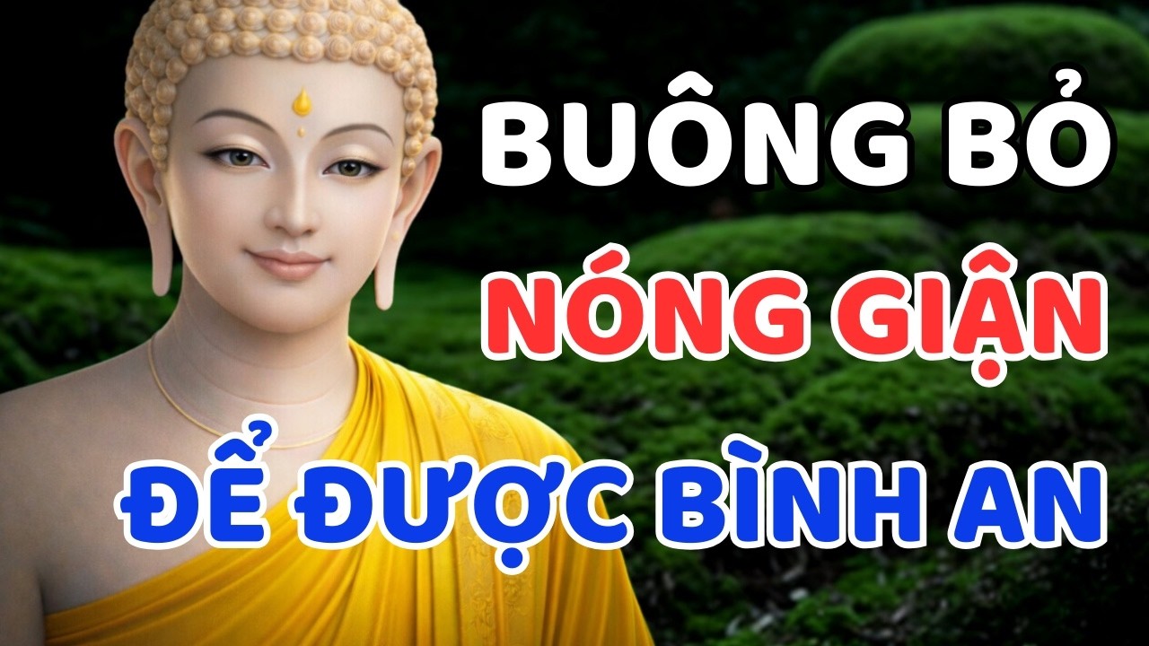 Lời Phật Dạy : Buông Bỏ Nóng Giận, Tìm Lại Tĩnh Lặng Nội Tâm Để Sống Bình An