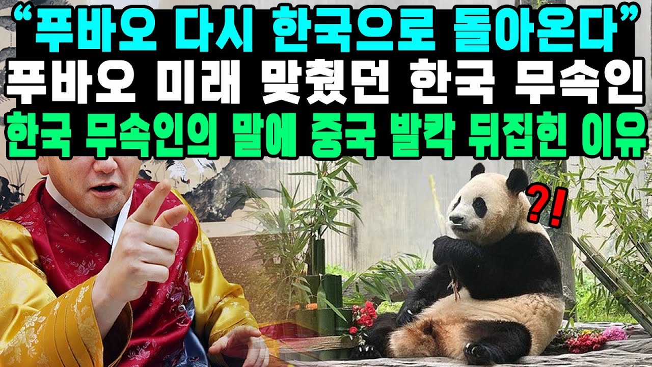 “푸바오 다시 한국으로 돌아온다.” 푸바오 미래 맞췄던 한국 무속인 한국 무속인의 말에 중국 발칵 뒤집힌 이유