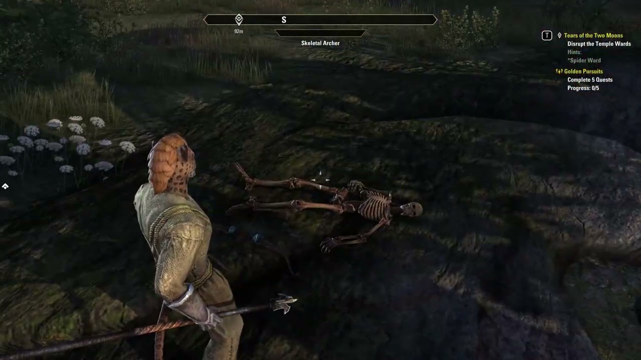 Elder Scrolls Online: Tears of the Two Moons: Choosing the Master, Ice and Lightning Sorcery ⚡