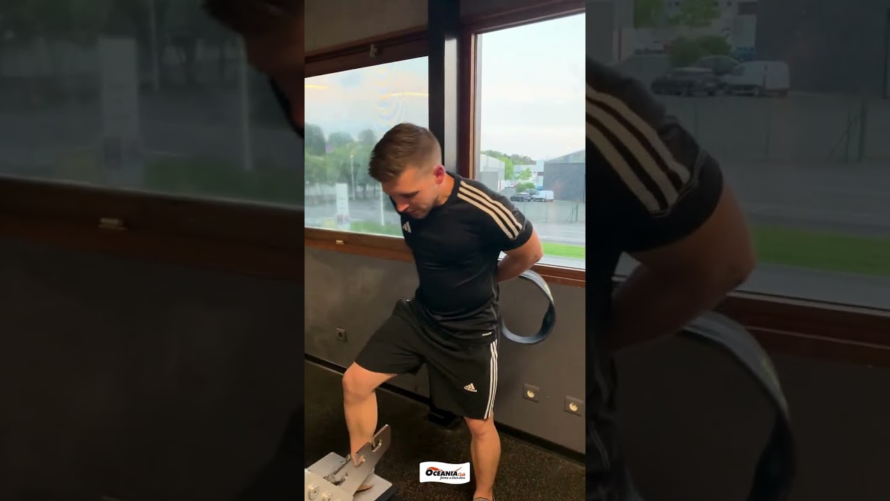 Belt Squat