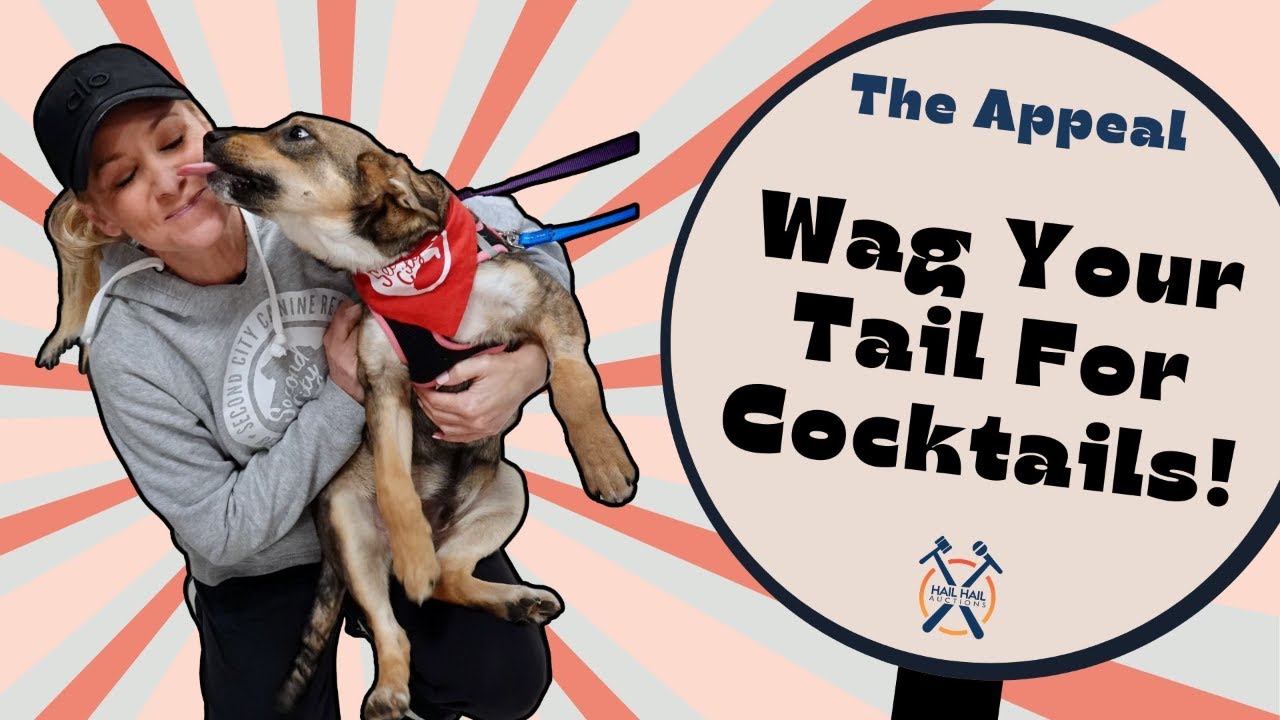 Cocktails & Canines: Second City Rescue, Second Chances!