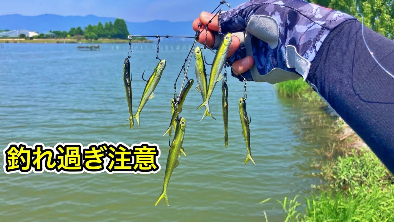 【バス釣り】ラストエース80Fのバマストのインプレ中にめっちゃ釣れたw　あとサイコロラバーで大迫力バイトシーン！【ナマズ釣り】