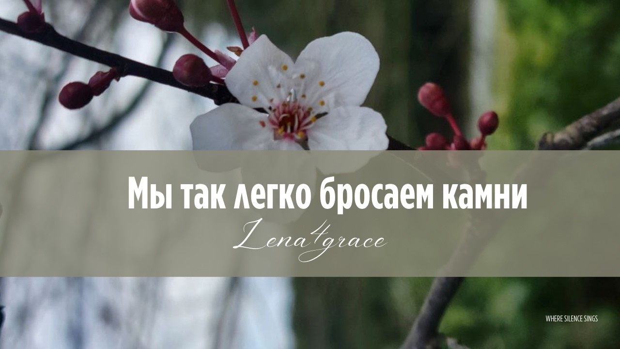 Мы так легко бросаем камни 