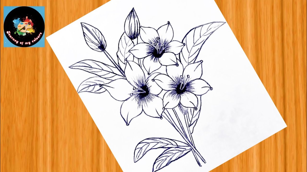 Easy Flower Drawing with Pencil || How to draw flowers easy || Simple Pencil Sketch.