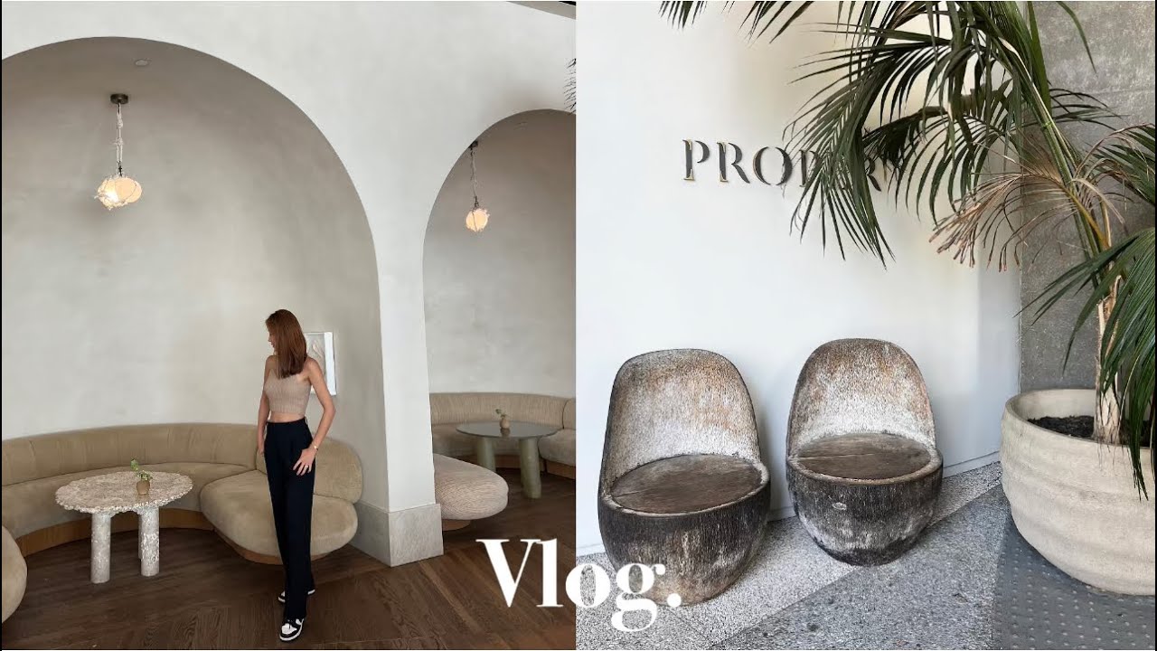 ☀️Staycation with my dog Vlog | Proper Hotel Santa Monica | 반려견과 함께 떠나는 직장인의 주말 여행, 반려견과 추억 만들기🐶