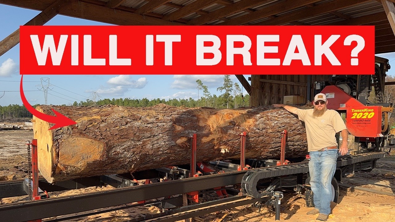 GIANT Log VS Timberking 2020 Sawmill! HOLY 💩 Moment At The End.