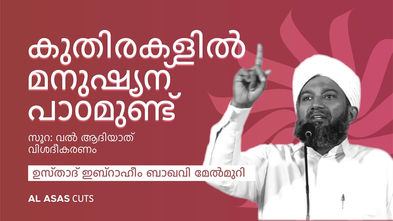 കുതിരകളിൽ മനുഷ്യന് പാഠമുണ്ട്; സൂറ: വൽ ആദിയാത് | ഉസ്താദ് ഇബ്റാഹീം ബാഖവി മേൽമുറി | Al Asas 23 Cuts