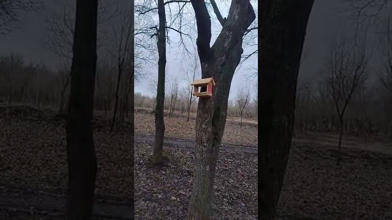 Весенняя прогулка по парку 