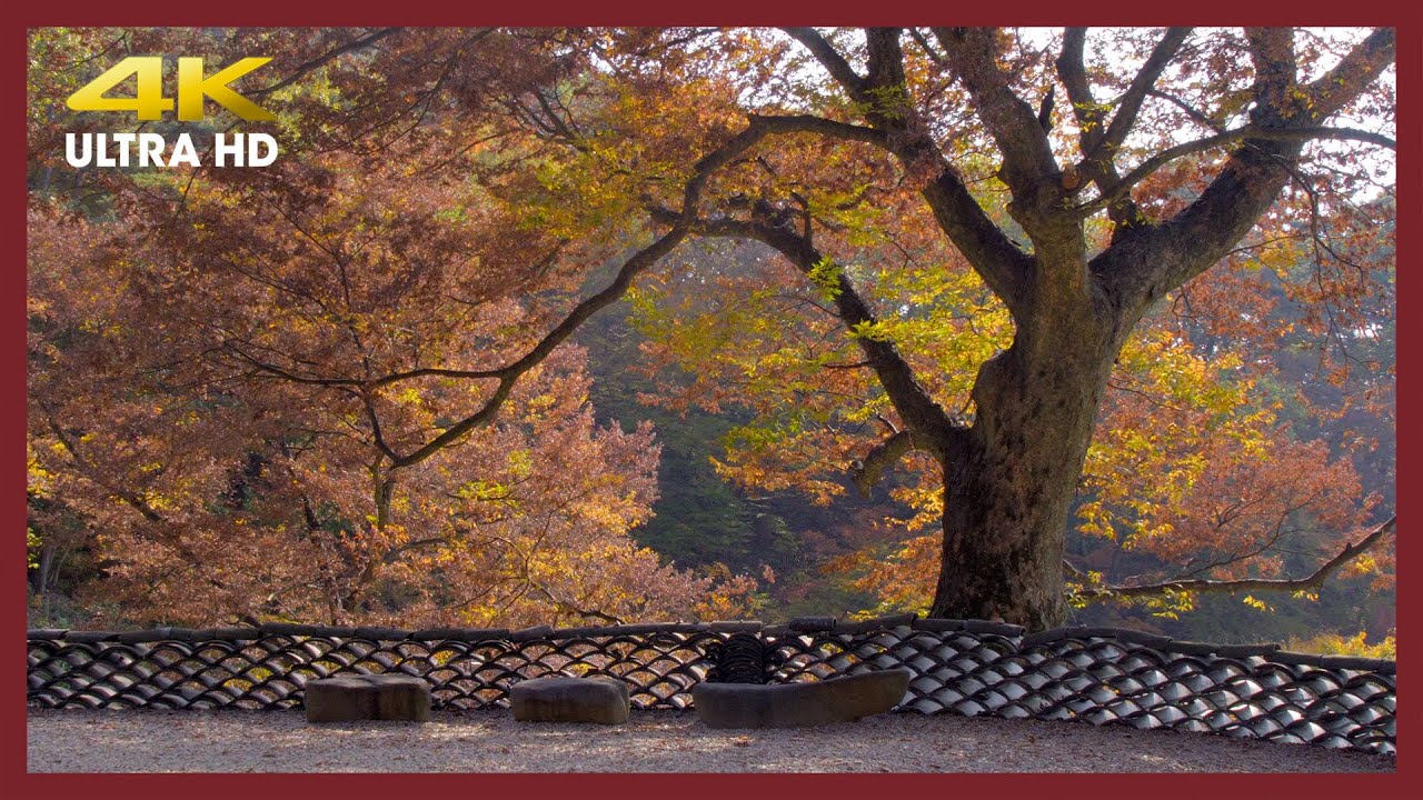 Nature Sound - Modeok temple, Chilgapsan Jangseung Park, Janggok temple #ASMR #Sleep #Rest [1 hour]