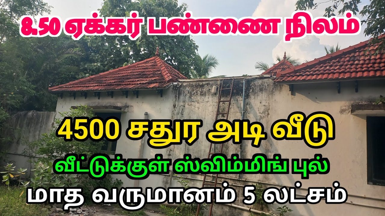 மா தென்னை தேக்கு செம்மரம் கொய்யா அழகிய பண்ணை நிலம் விற்பனை #farmhouse #farmland#realestate#landsale