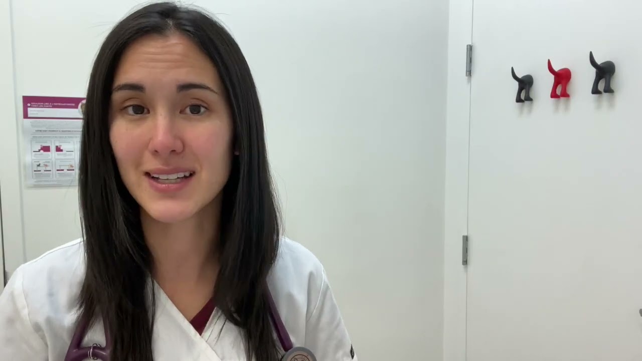 Constipation, obstipation et mégacôlon