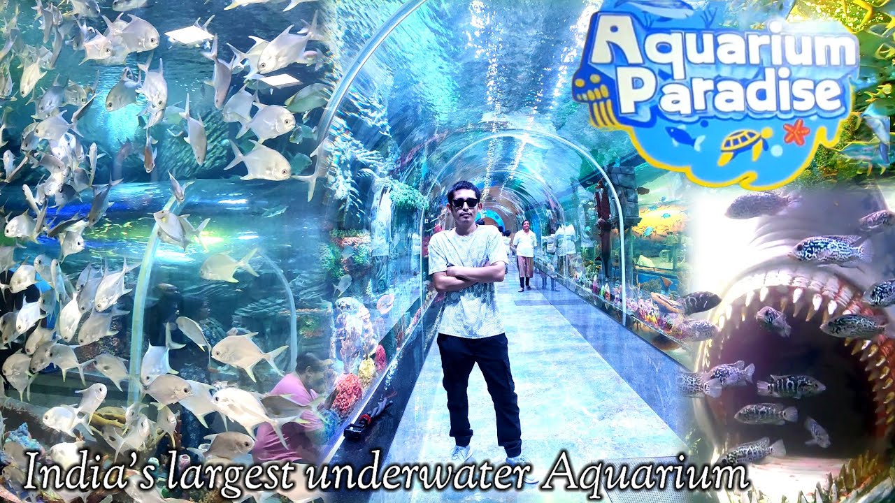 Aquarium Paradise Bangalore | India's Largest Underwater Aquarium Tunnel | Ticket Price & Timeing