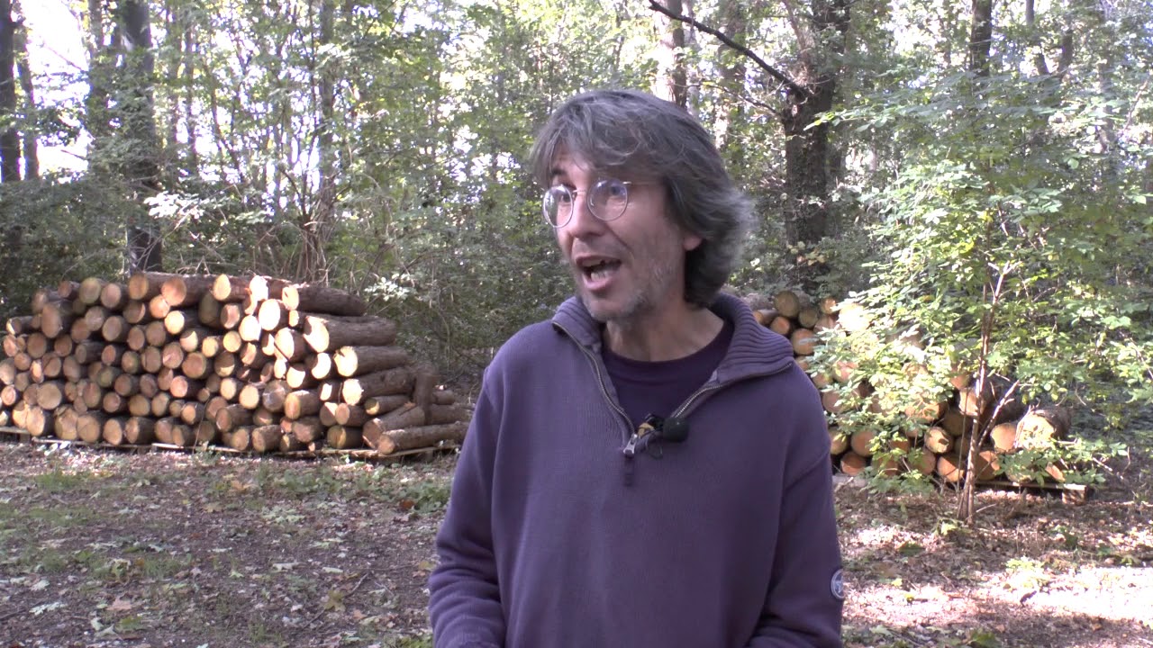 Cursus haal voedsel uit het bos, deel 3, Wouter van Eck