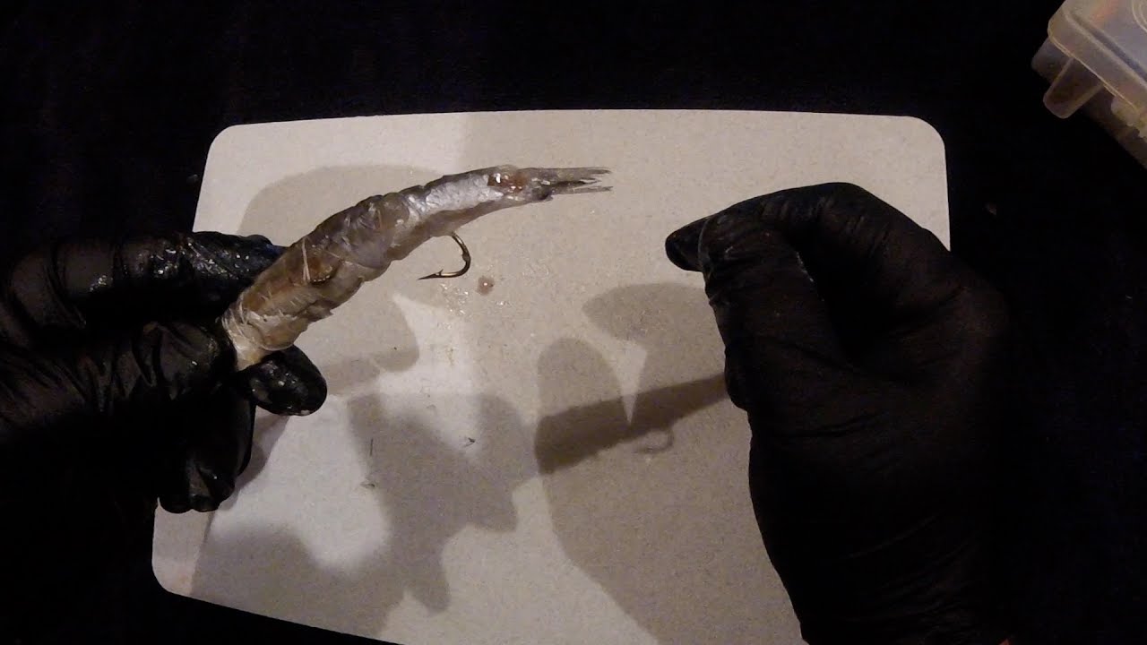 Basic Fishing Gear 4: baiting an Anchovy