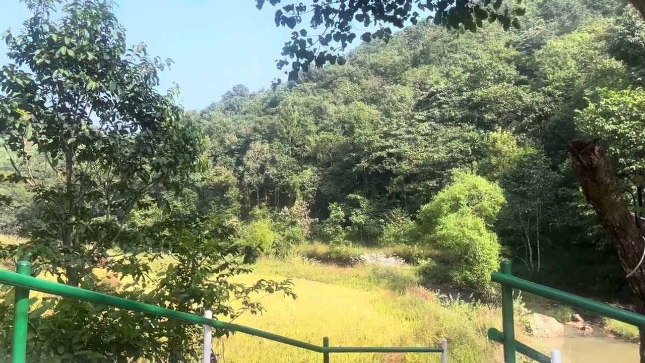 Latest lambasingi waterfalls/ November 2024 LAMBASINGI LATEST VIDEOS / KOTHAPALLI WATERFALLS