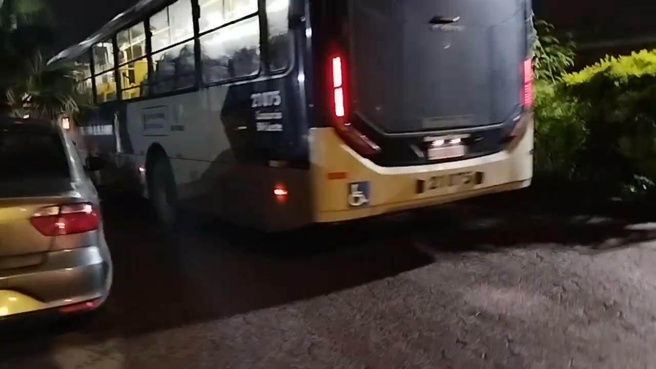 SM TRANSPORTES 21075
