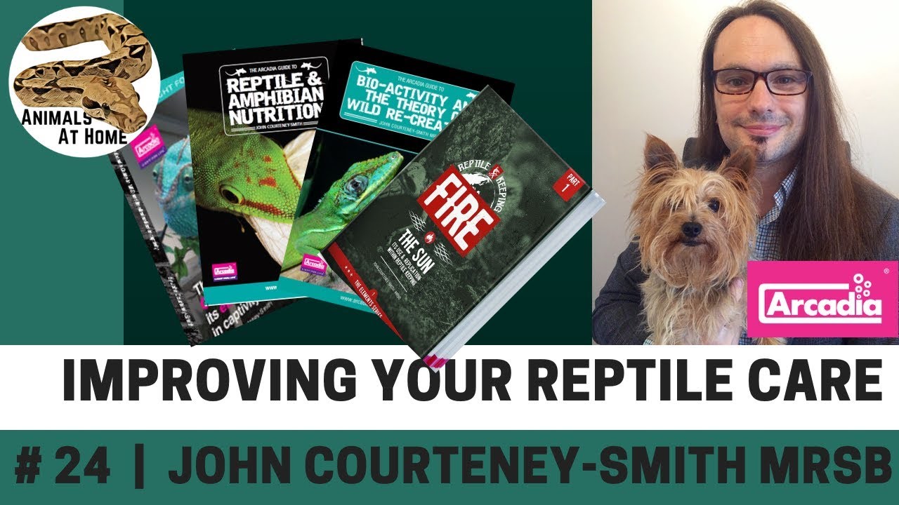 Improving Your Reptile Care | John Courteney-Smith MRSB - The Animals at Home Podcast