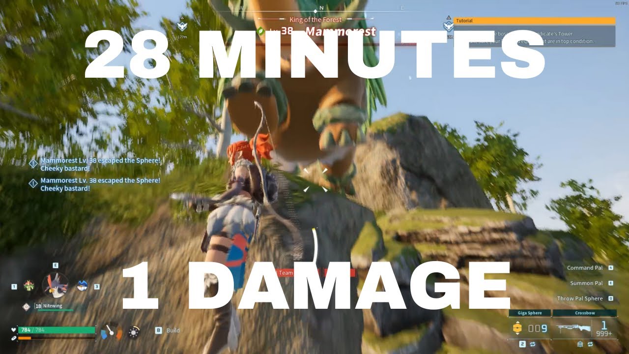 shooting forest king mammorest for 28 minutes straight with a bow (and catching it)