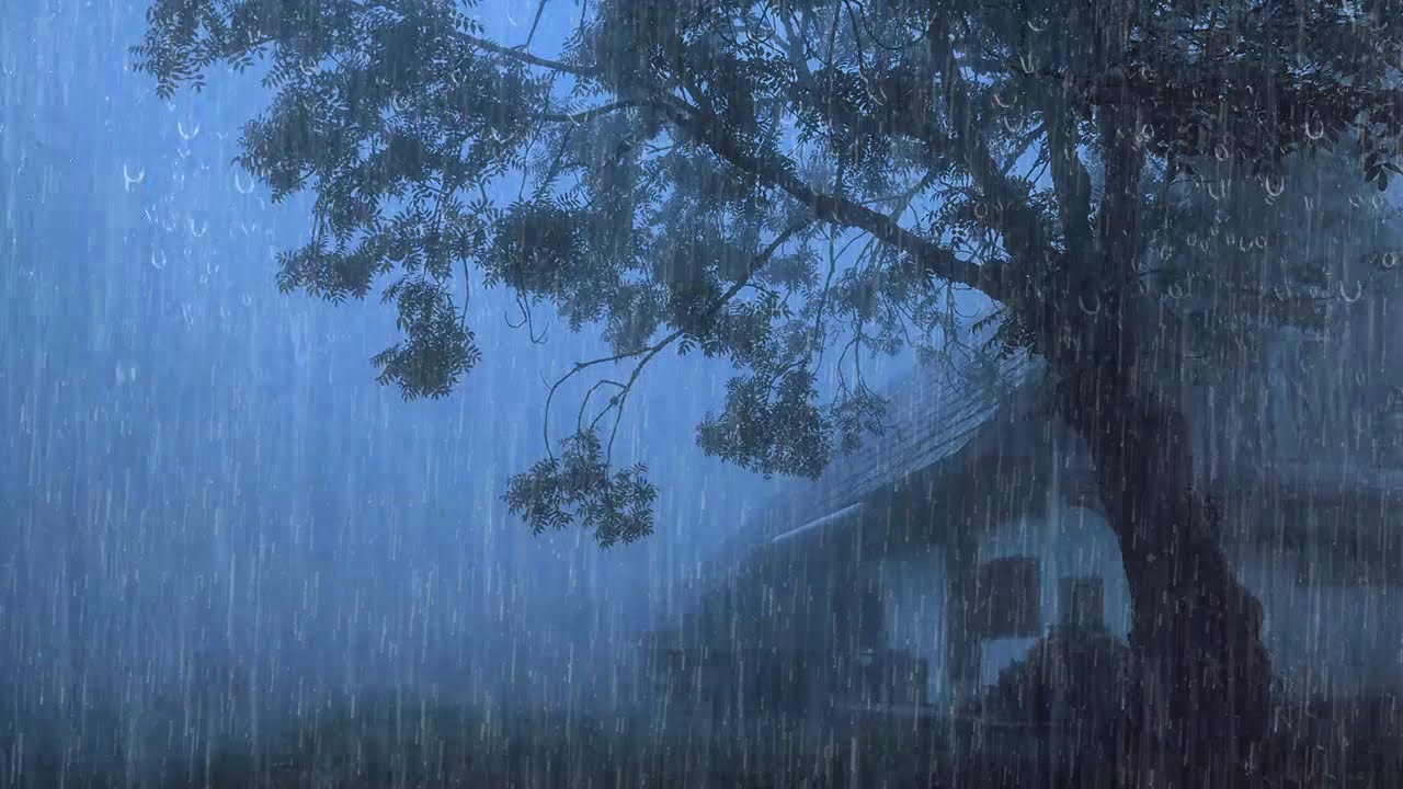 Sonido de Lluvia Para Dormir y Calma la mente 🌧 Ruido de Lluvia Para un Sueño Profundo #107