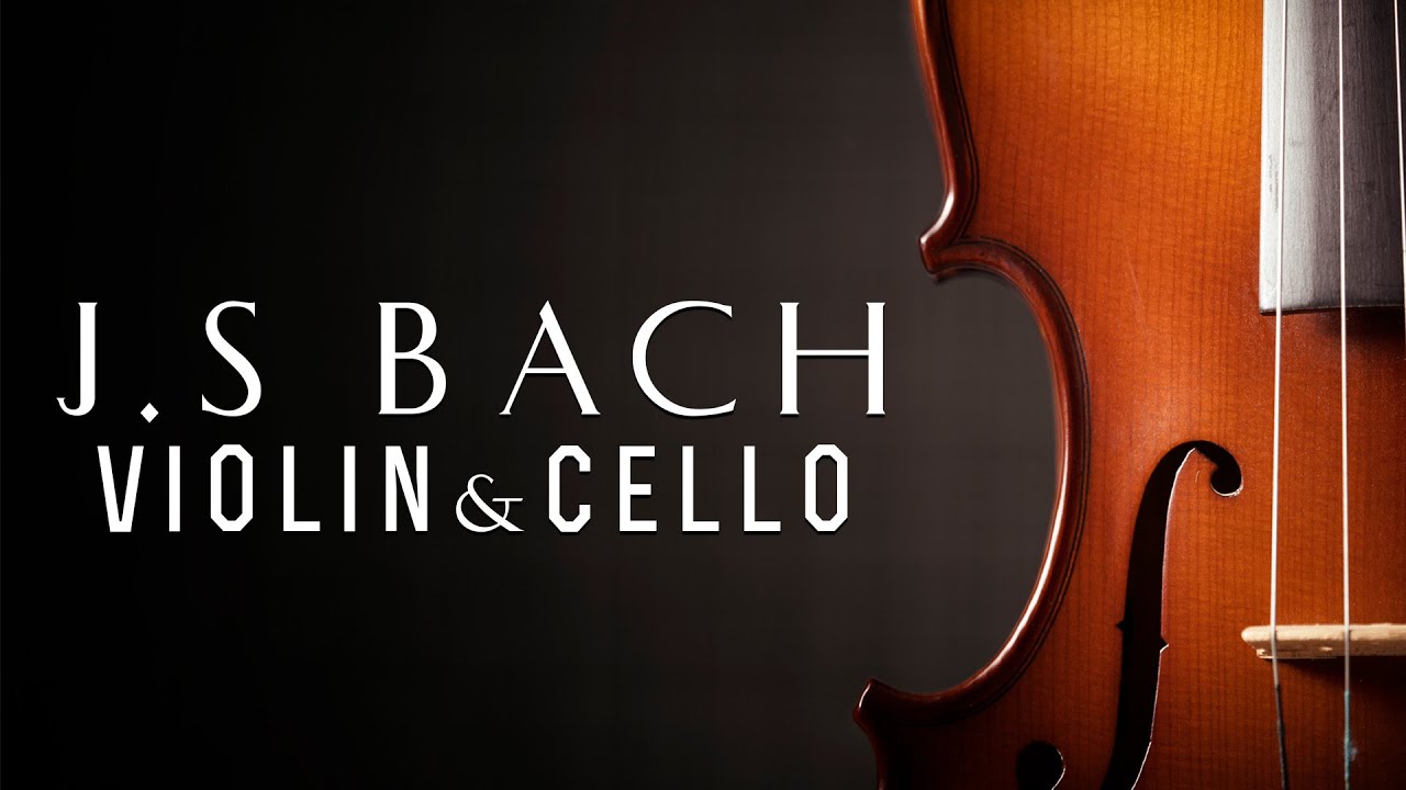 J.S. Bach: The Violin Concertos | 3 HOURS NO ADS(playlist)