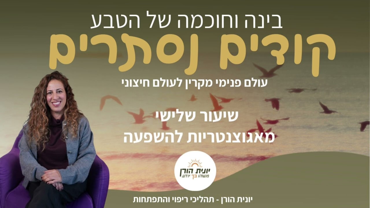 שיעור שלישי - מאגוצנטריות להשפעה קודים נסתרים עולם פנימי מקרין לעולם חיצוני