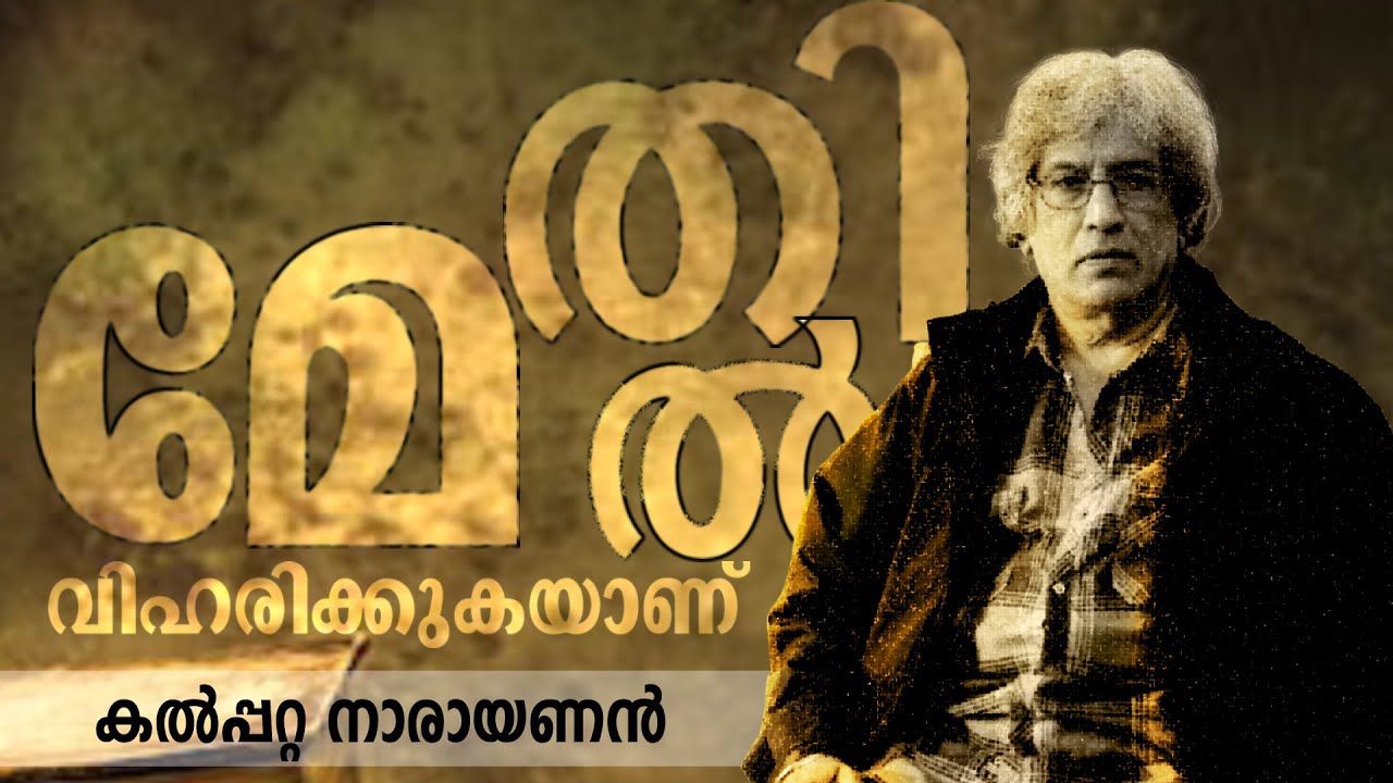 വിഹരിക്കുകയാണ് മേതിൽ | Kalpetta Narayanan | Maythil Radhakrishnan